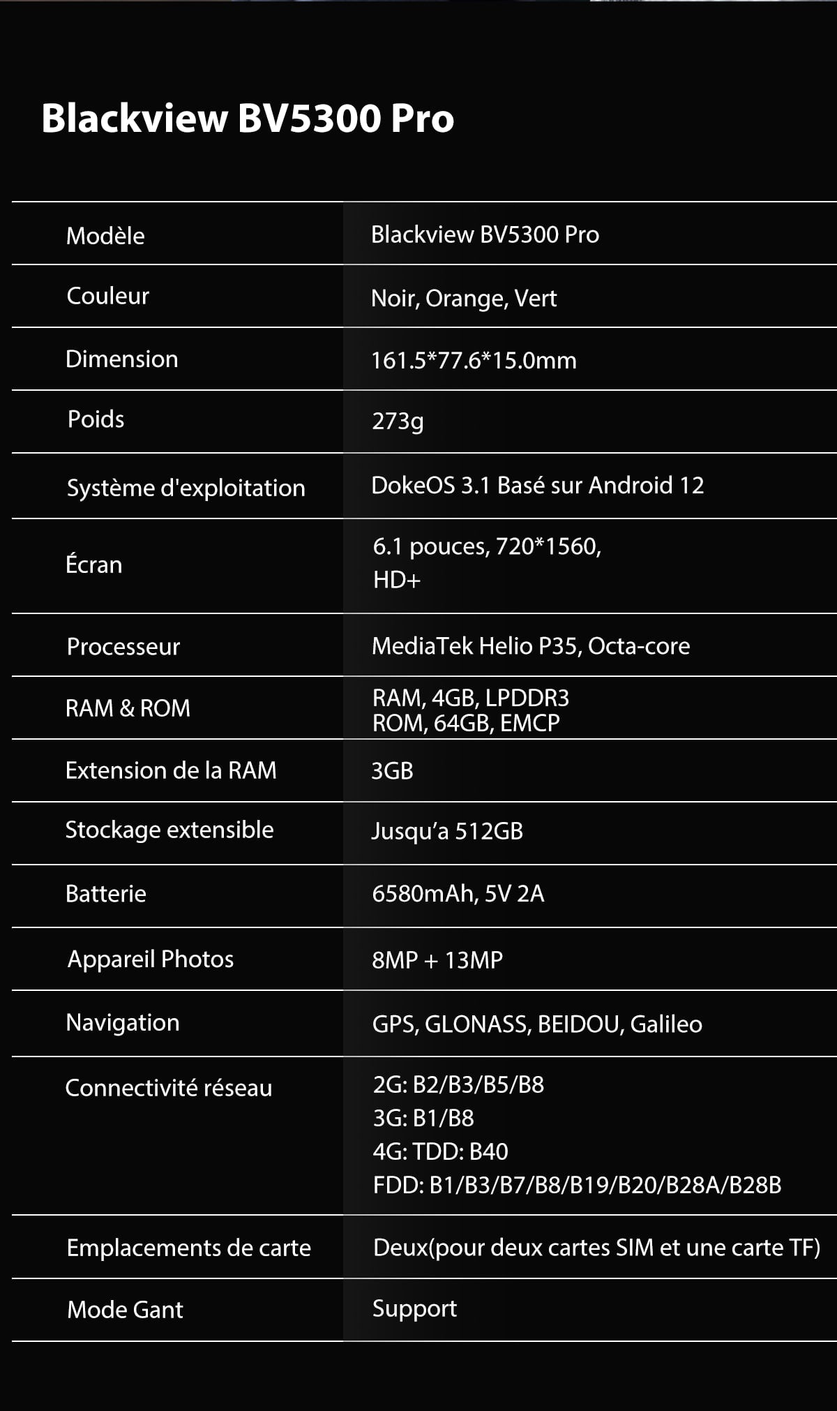 BV5300 Pro french description