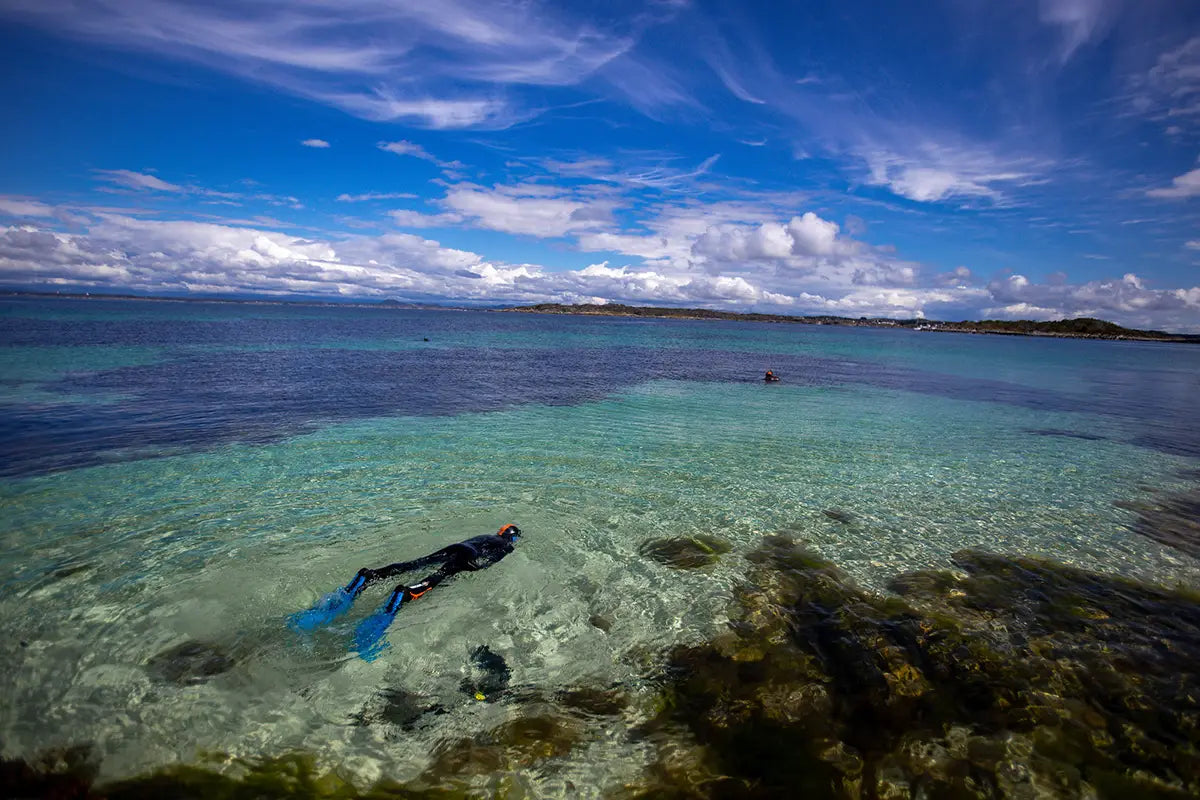 Niños haciendo snorkel durante las vacaciones de verano en Noruega