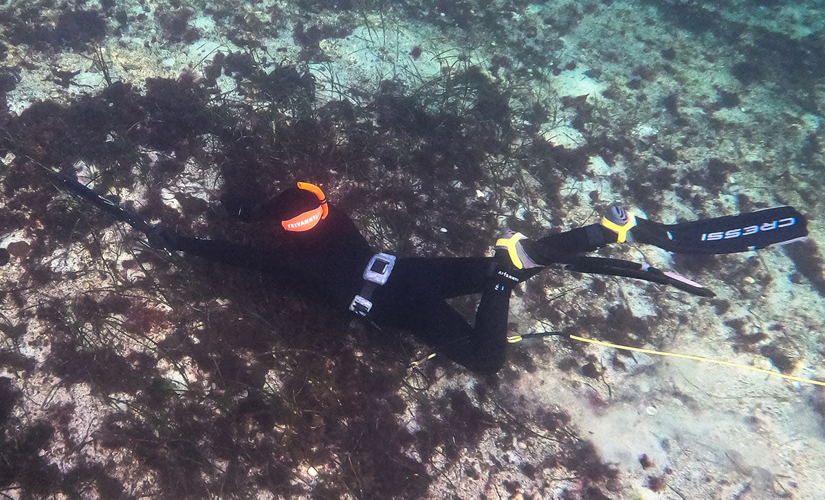 Young freediver swimming with a harpoon along the bottom