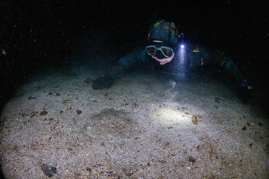 Underwater hunter looking for flounder on the seabed