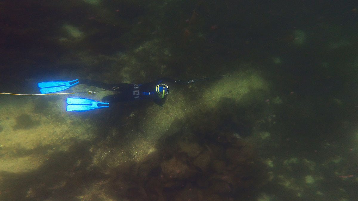 Young freediver hunting along the bottom