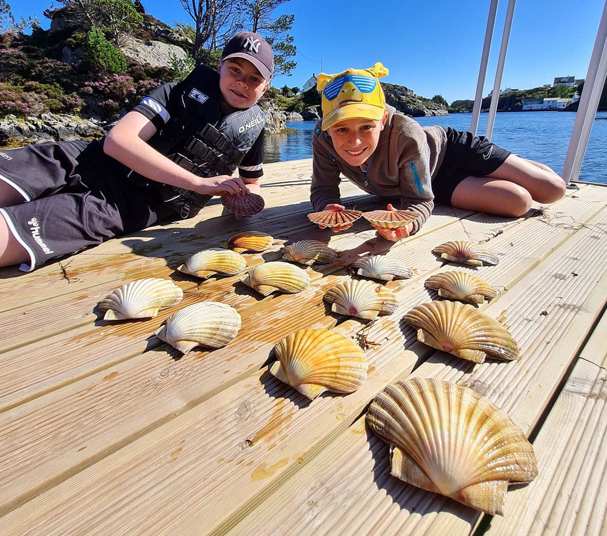 Unge gutter som har høstet kamskjell