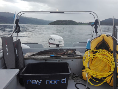 Norwegian record in underwater hunting for lighting