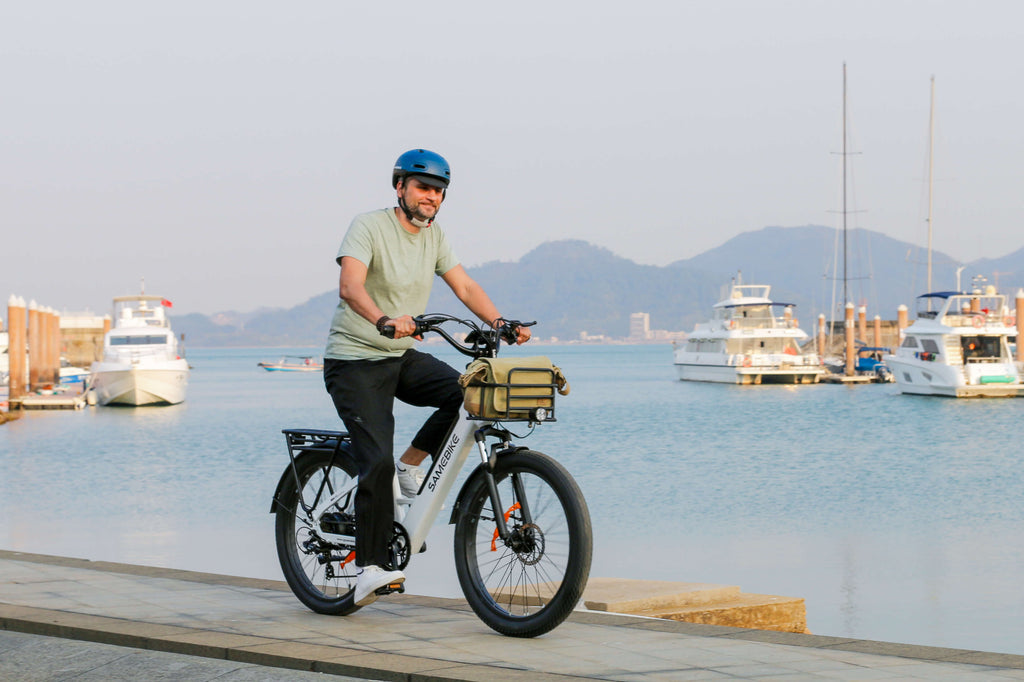 City electric bike