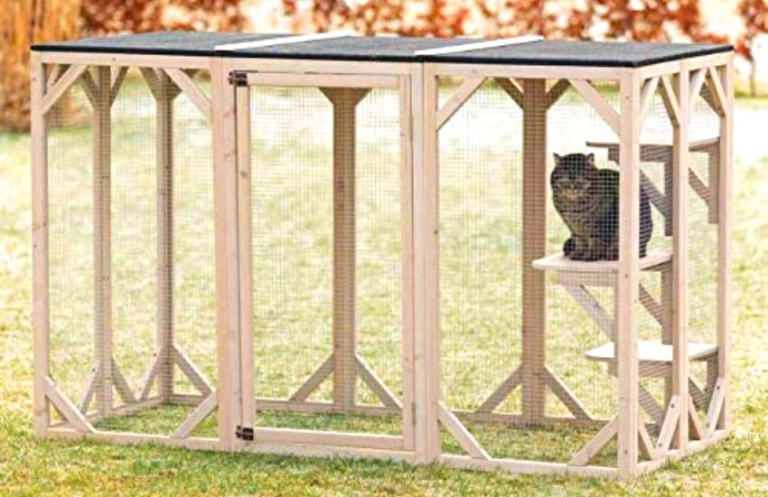 Wooden cat enclosure with cat inside