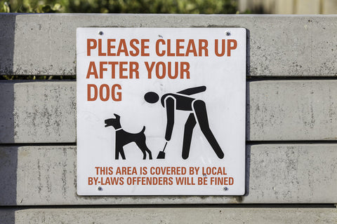 dog park etiquette clean up after your dog