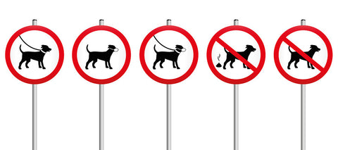dog park etiquette rules