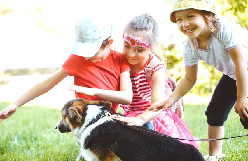 Three kids playing with a dog in a puppy party