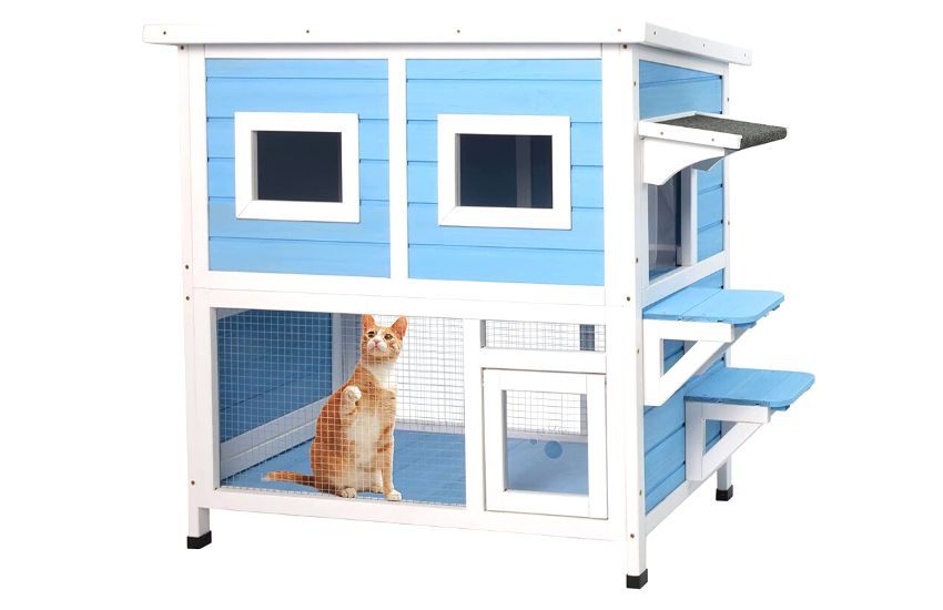 Blue outdoor cat house