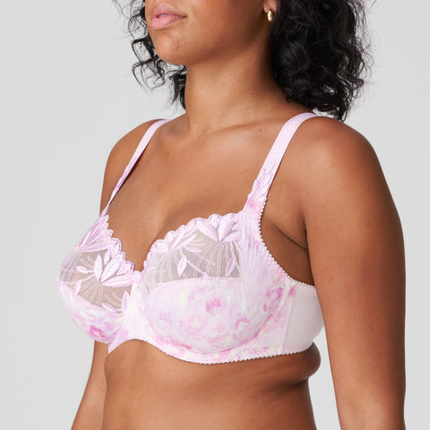 BH's H-cup – Lingerie Curtres