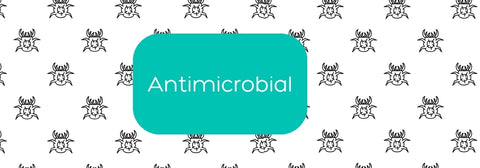 Anitmicrobial air filters to trap and eliminate dust mites