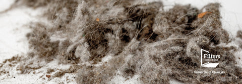 pile of dust and dander that is trapped in ac filters