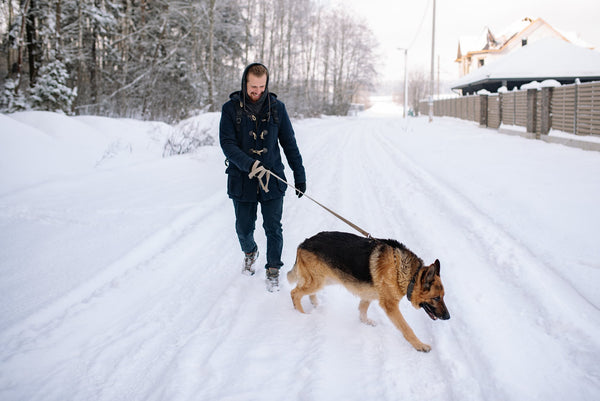 man in snow walking dog