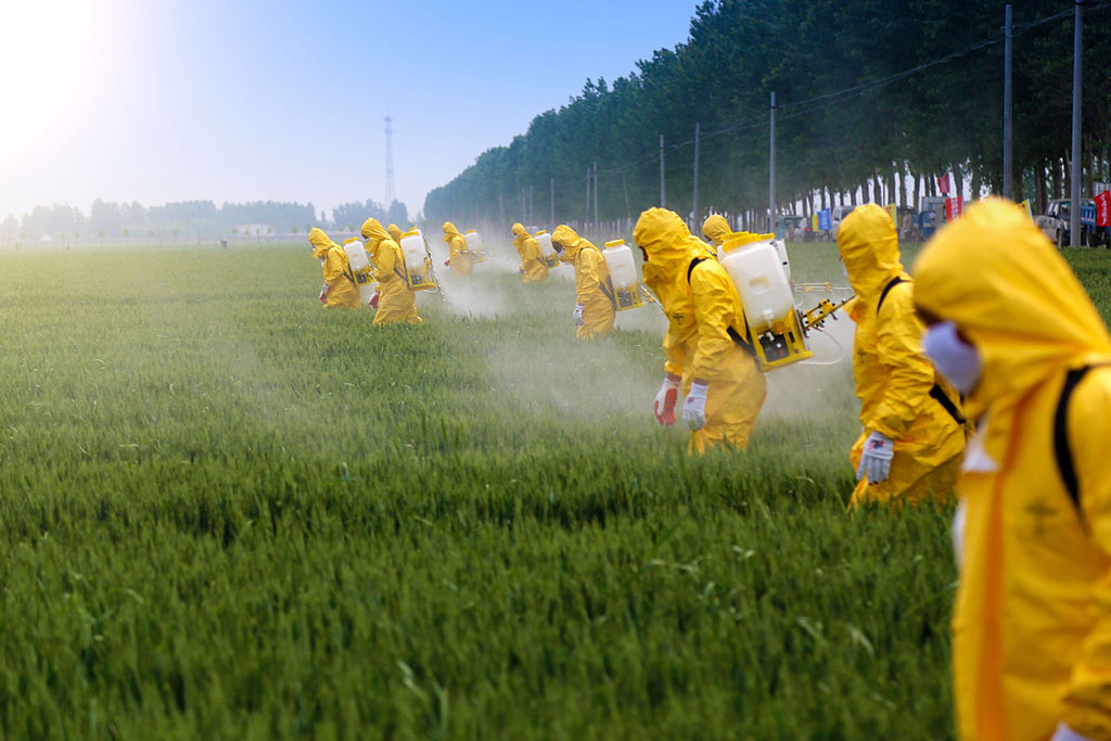 Proper Pasture Pesticide and Health
