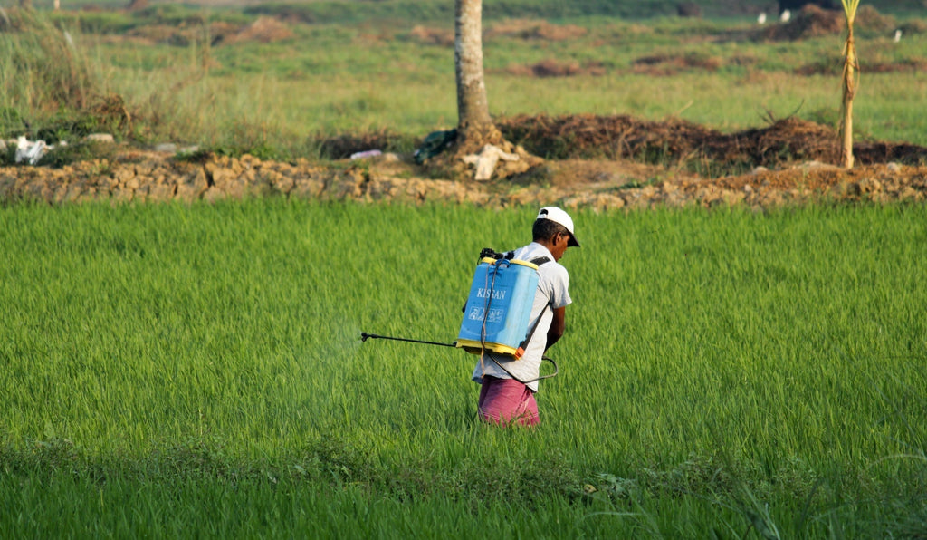 Proper Pasture Healthy food