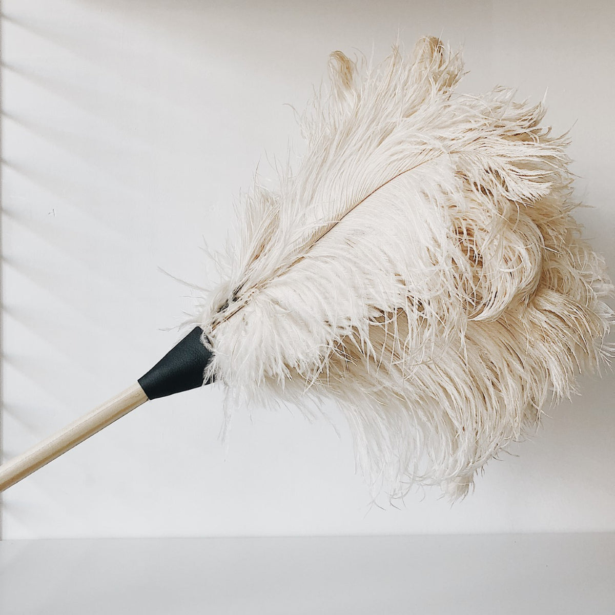 flylady feather duster