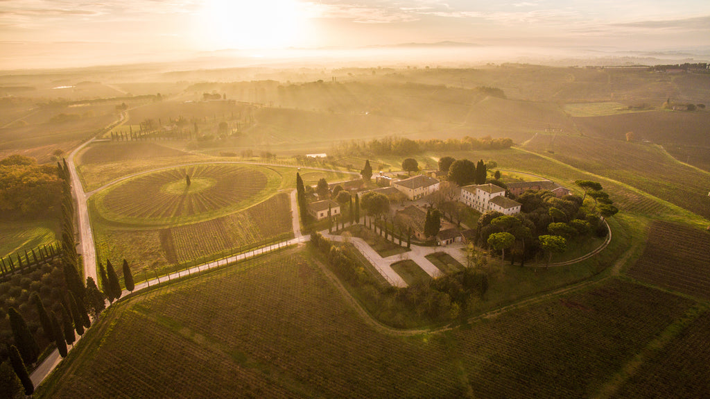 Avignonesi vineyards, Tuscany