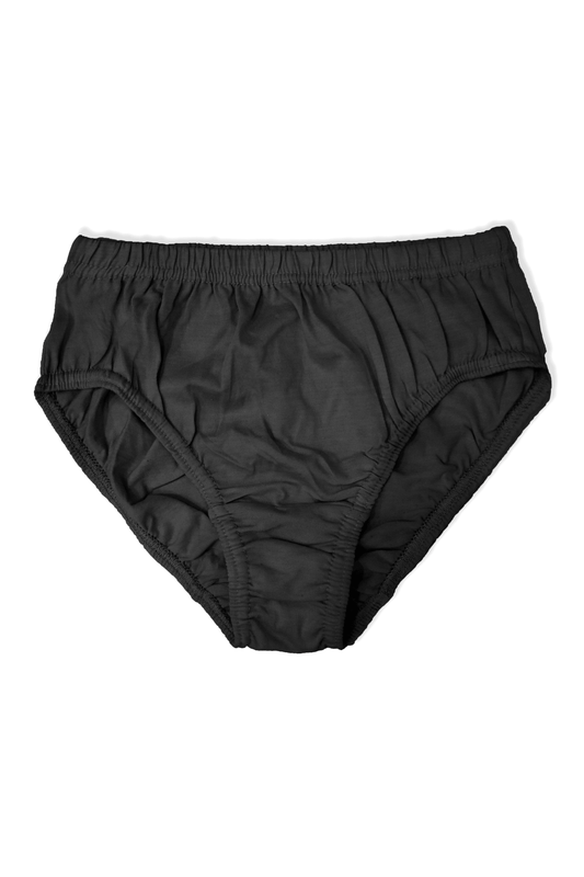 Hinz Premium Briefs Polyester Underwear for Men