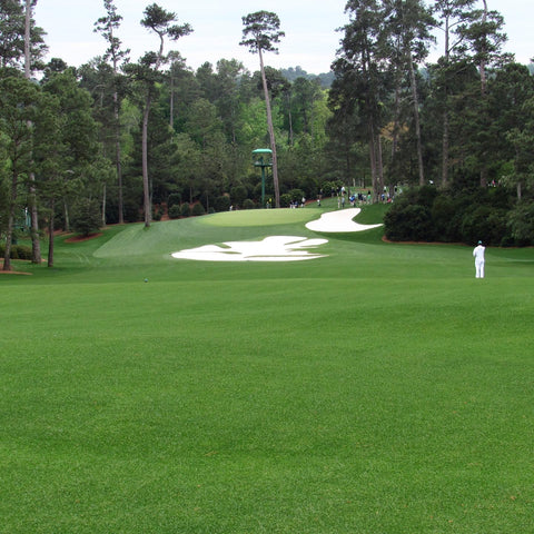 Augusta National golf course for the Masters Tournament