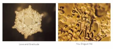 dr emoto