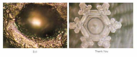 dr emoto