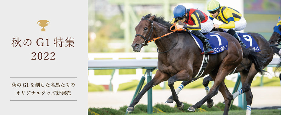 スタンニングローズ 2022 秋華賞 競馬 アクリルオブジェ JRA - 通販