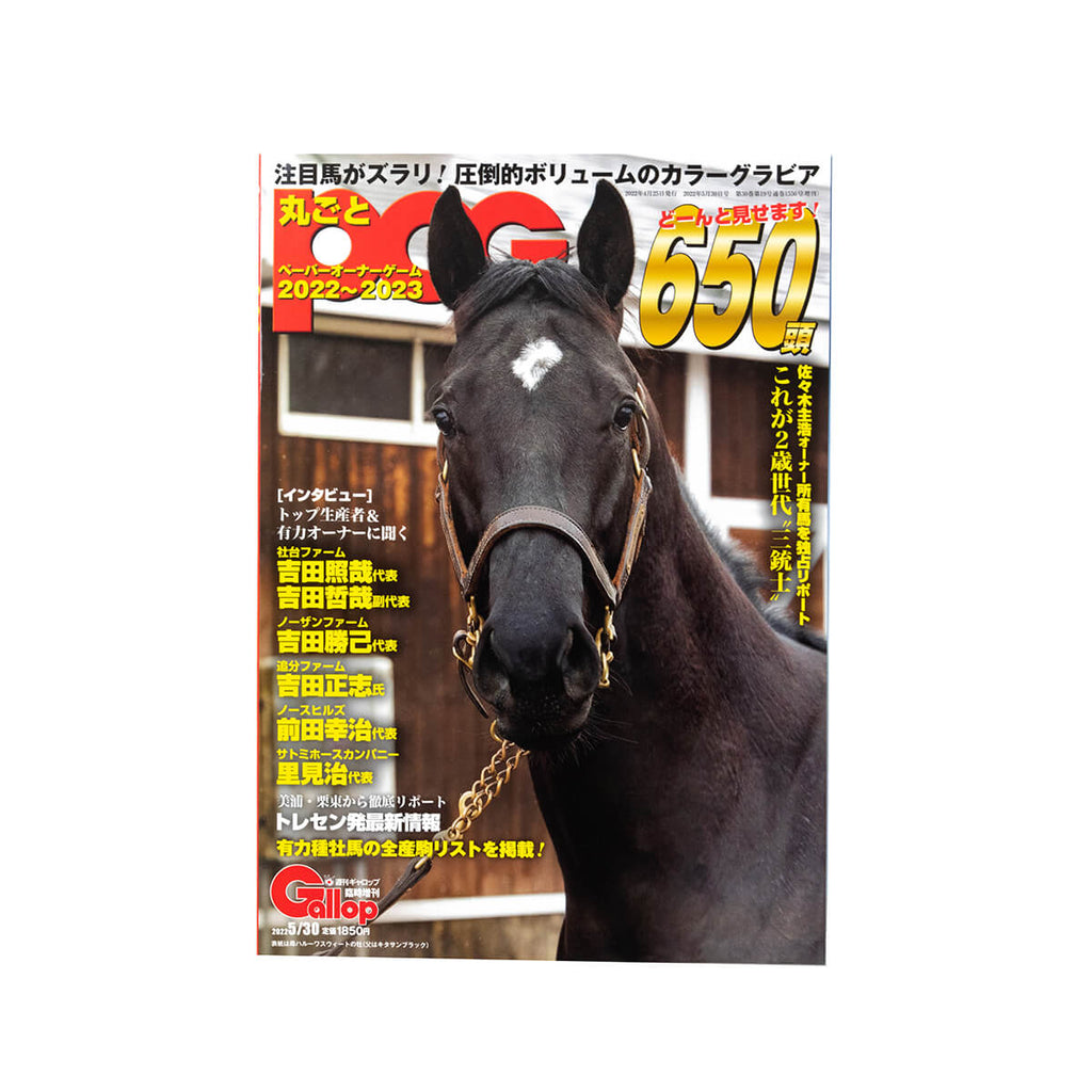 名馬 生写真 写真集 レース写真 種牡馬 競走馬 アルバム 競馬 日本販売