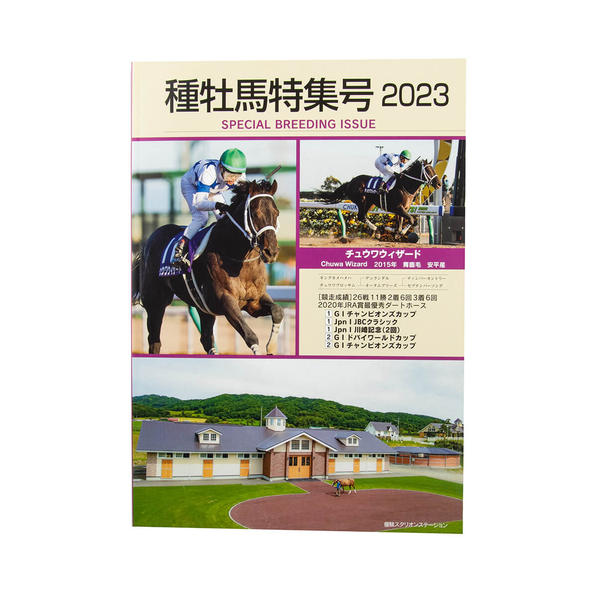 種牡馬シリーズ サンデーサイレンス(ノーザンホースパーク限定品