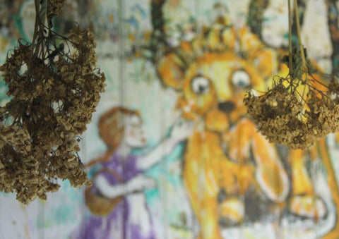 Dried Flowers in Oz Cottage sook & Hook