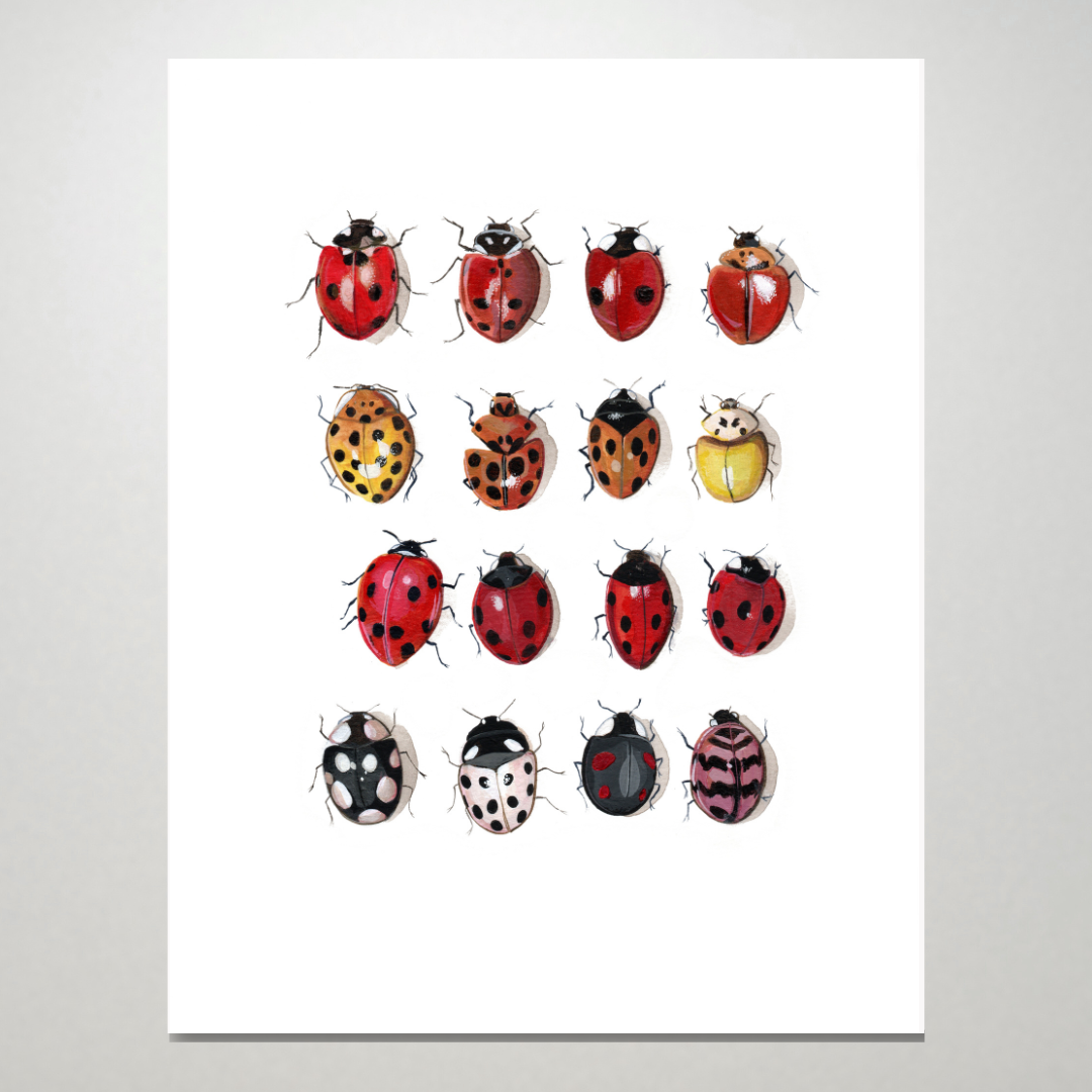 Ladybug Collection print