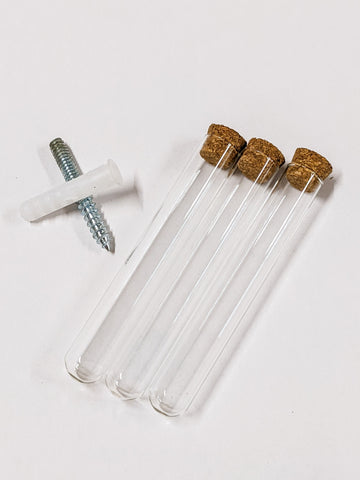 A screw and anchor lie next to plant propagation test tubes