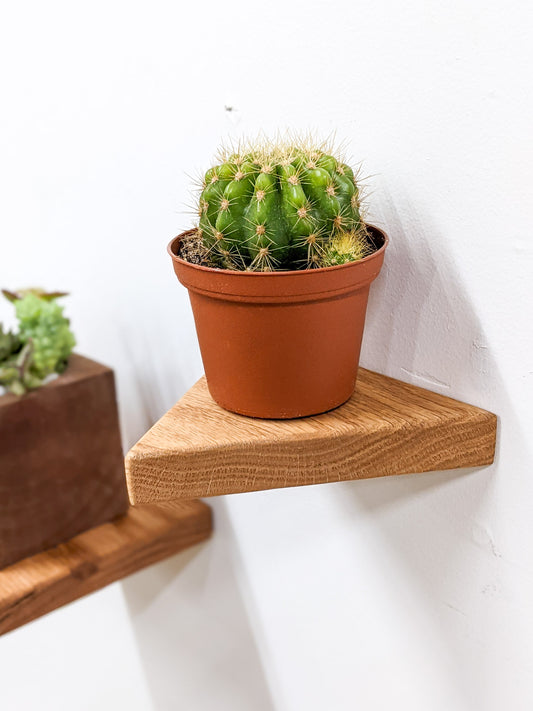 Long floating shelves in mahogany – NookWoodworking