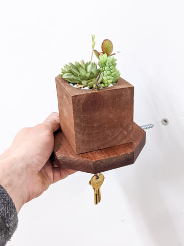 A floating geometric shelf is installed. A plant sits on top and a key dangles below