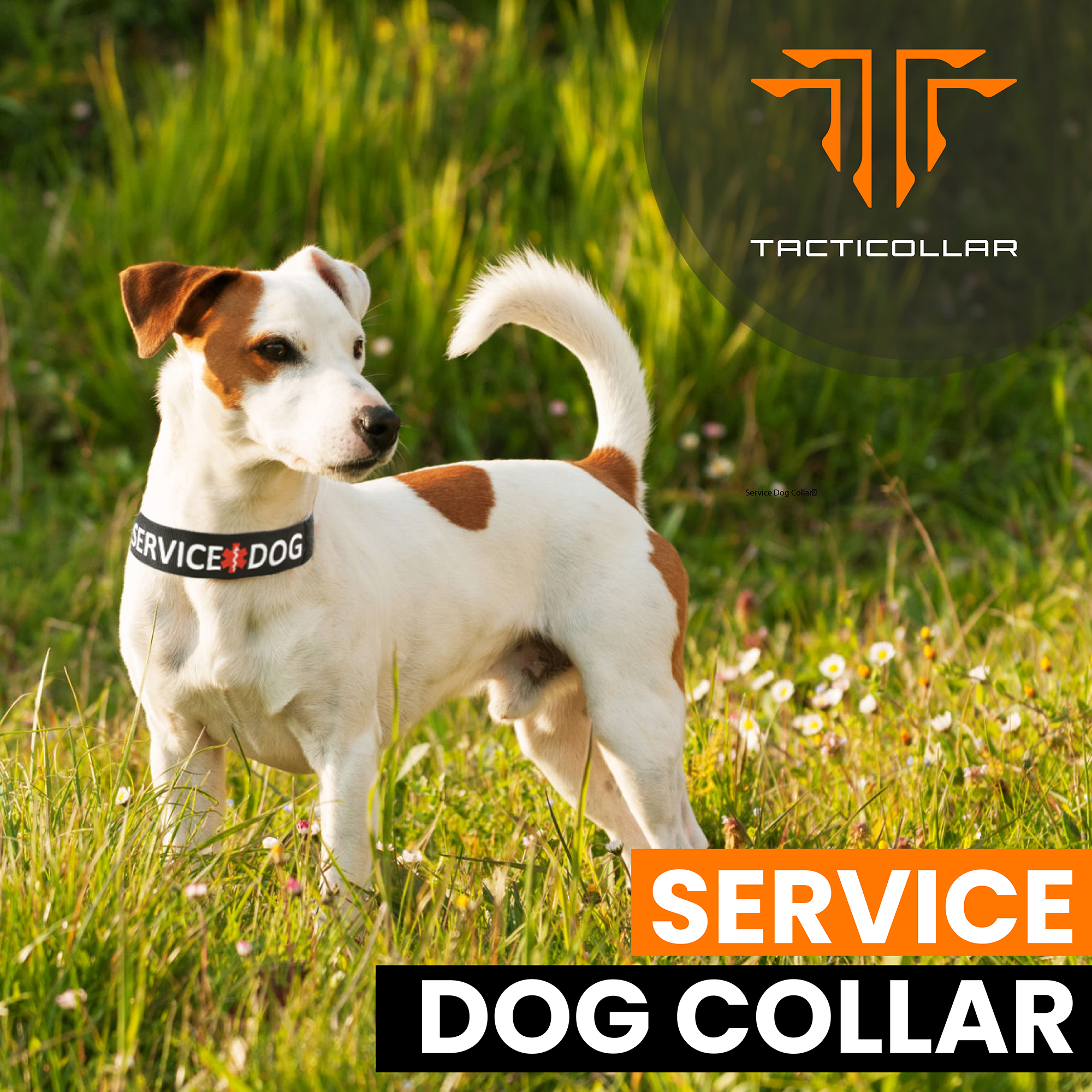 Tacticollar - Dog Leash Sleeves, Double Sided, Highly Visible, Provide Advanced Warning to Prevent Accidents Do Not Pet Black