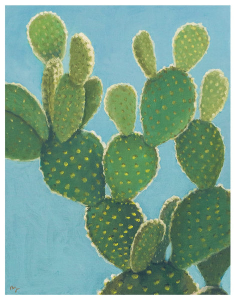 backlight cactus and Blue Sky