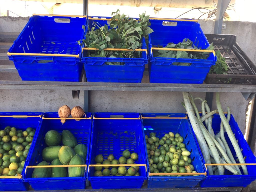 legumes-mayotte