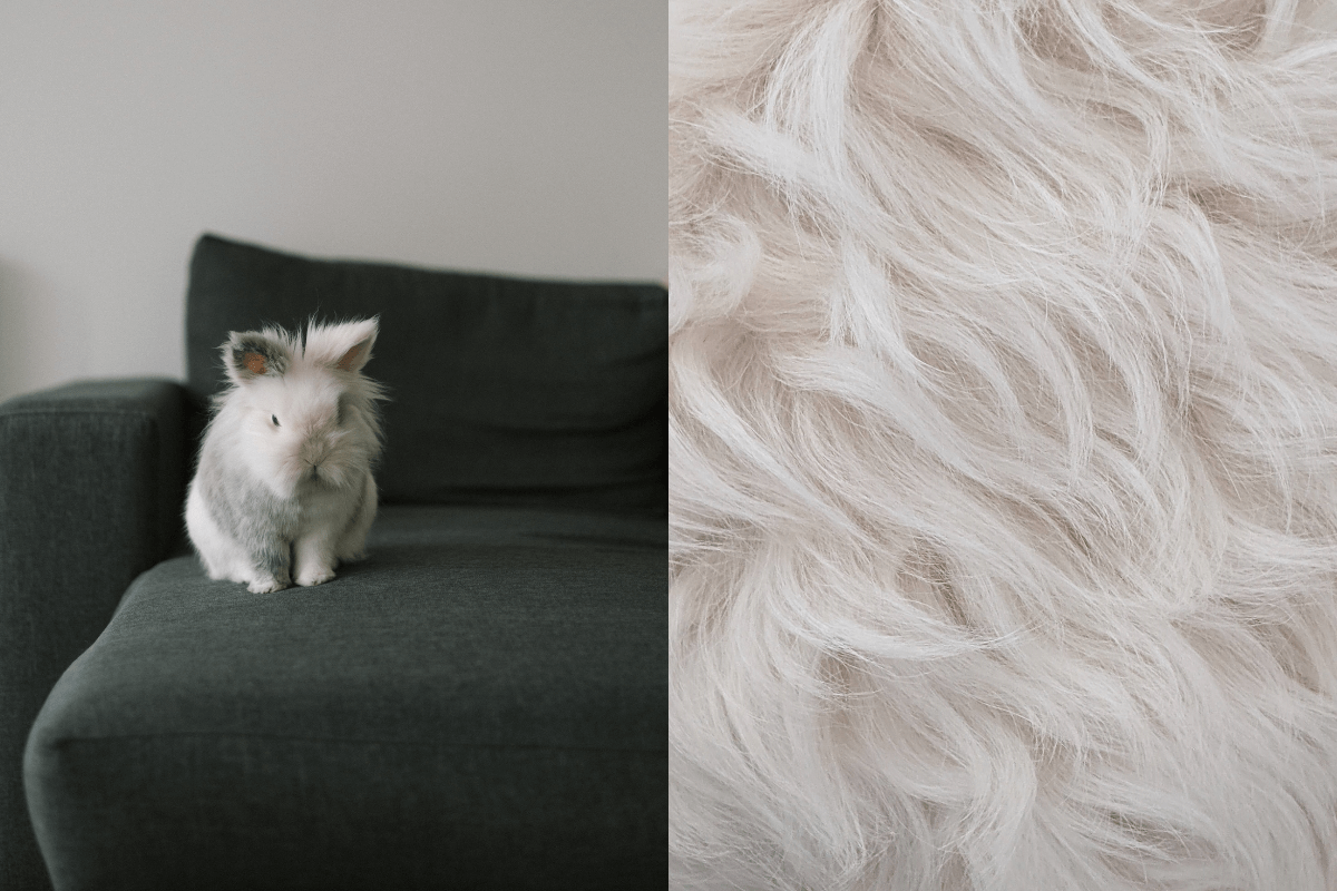 Banned Fashion Materials That Used to Be Legal SANVT angora fur