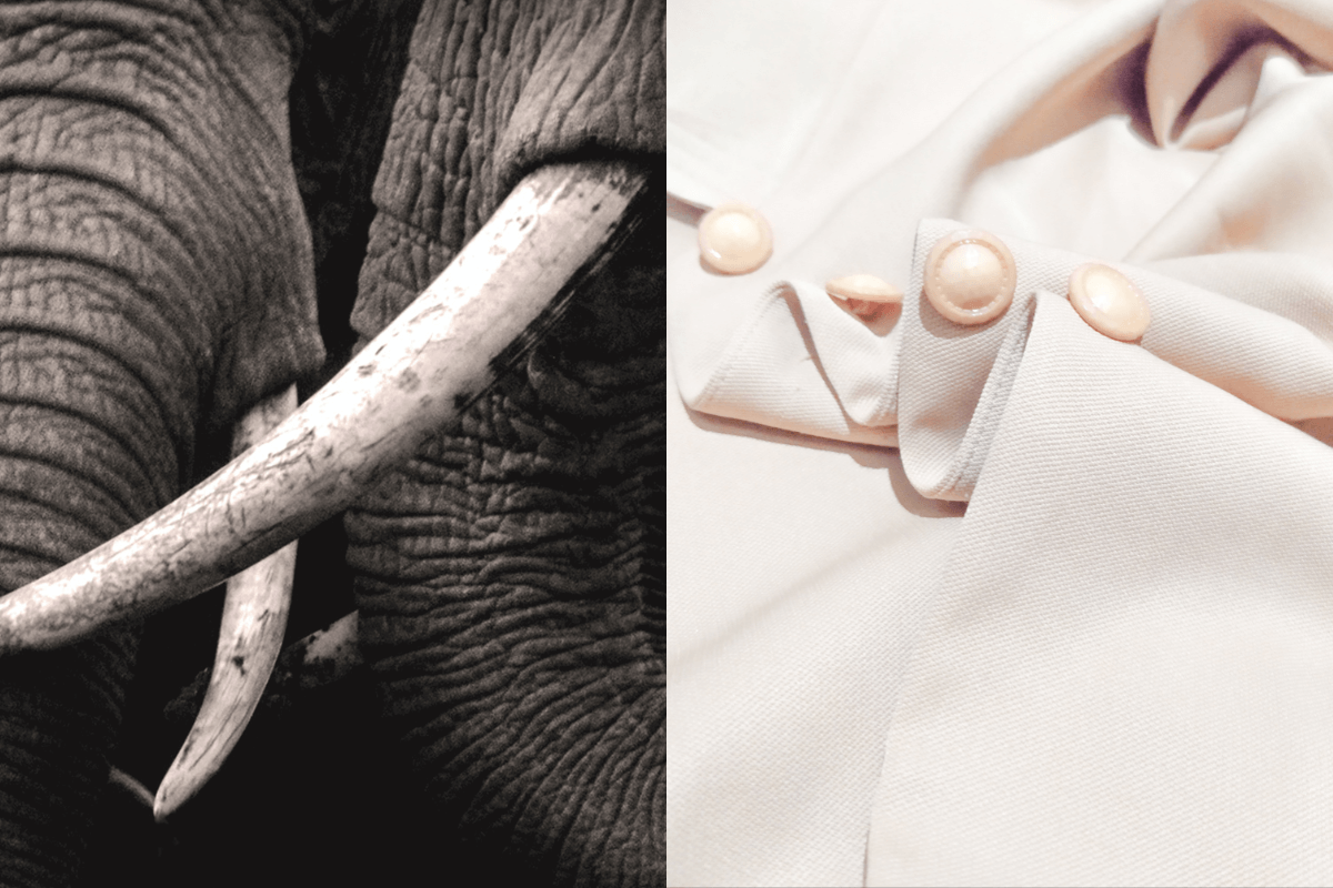 Banned Fashion Materials That Used to Be Legal SANVT ivory