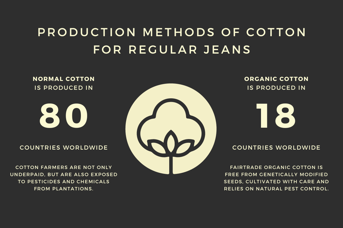 Can Jeans Be Eco-Friendly SANVT 2