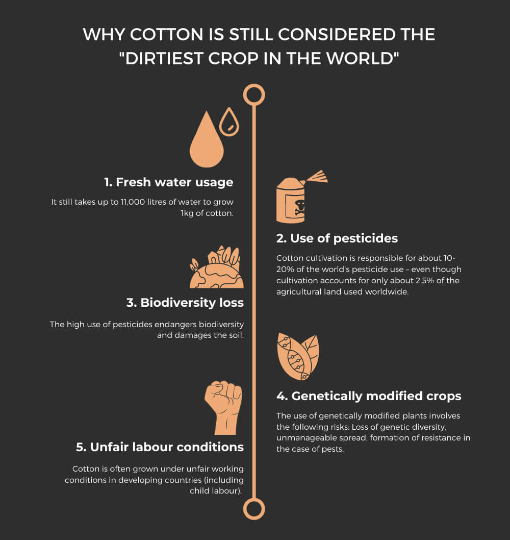 Sustainable cotton fabric & production
