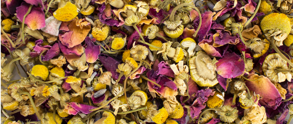 dried herbs and flowers