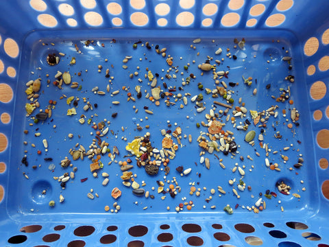 Forage Basket with Seeds