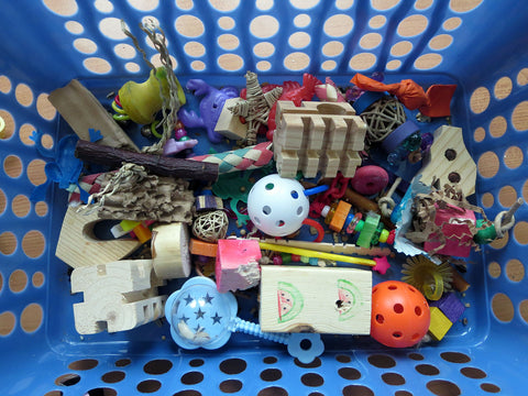 Forage Basket with Toys