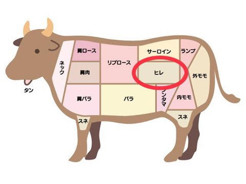 牛肉 部位 ヒレ 