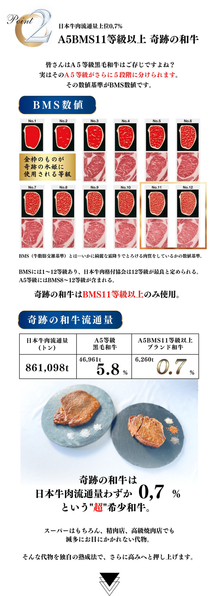 日本流通量上位0,7% A5BMS11等級以上ブランド和牛