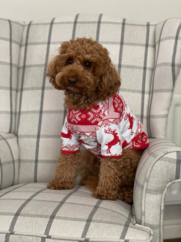 Fair Isle Dog Pyjamas