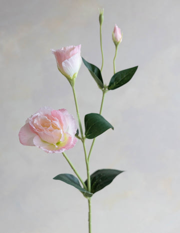 Silk Ranunculus Butterfly Flower, Peach Nectar