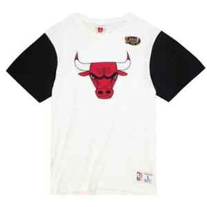 Mitchell & Ness Chicago Bulls D. Rodman Pop Art Short Sleeve Tee - Hibbett