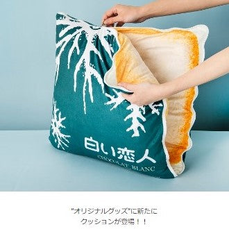 クッション登場.jpg__PID:bfe02a87-c2a1-4b6f-a88a-9e11441190db