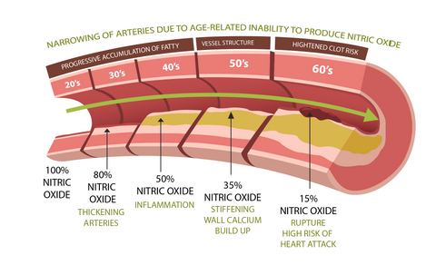 Nitric Oxide Booster